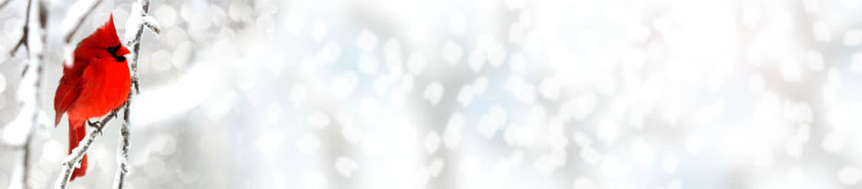 Blount Home Education Association (BHEA)